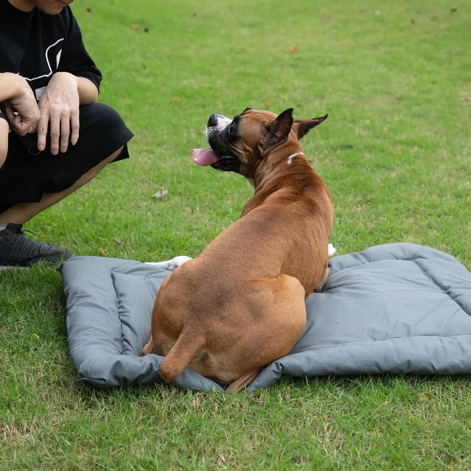 Coussin pour chien | Imperméable extérieur™️ - Bonheur de chien