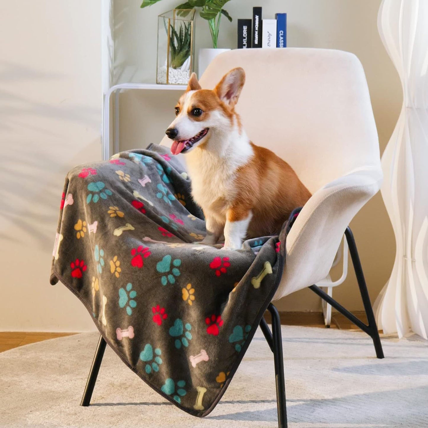 Couverture pour chien cordy sur chaise