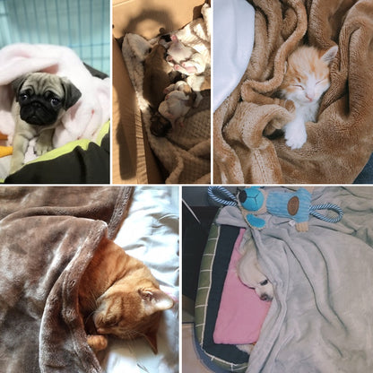 couverture pour chien et chat