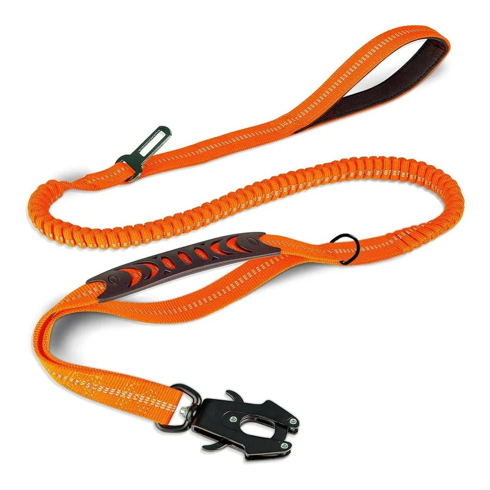 Laisse pour chien sur fond blanc orange