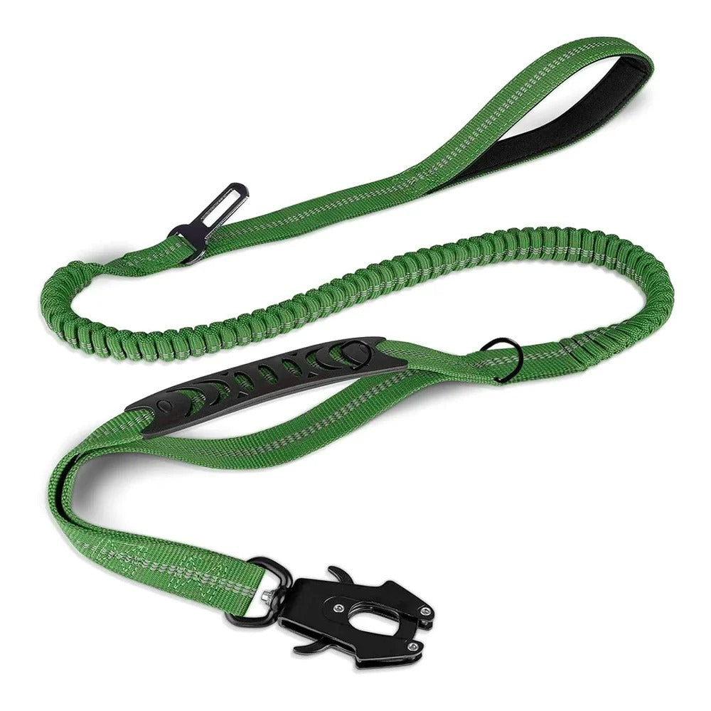 Laisse pour chien sur fond blanc verte