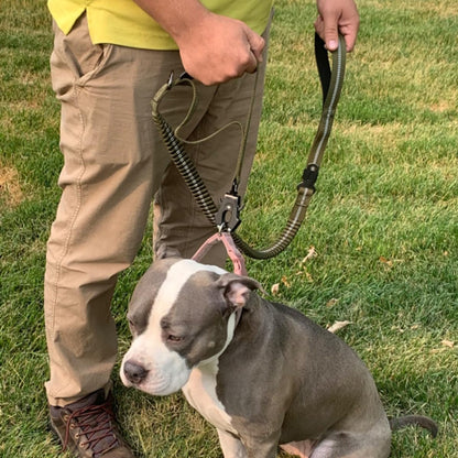 Laisse pour chien Pitbull laisse noire