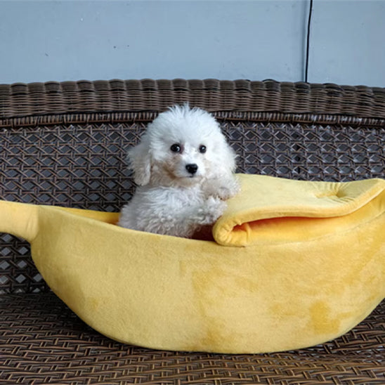 Panier banane pour chien BananaSplitz™ avec chien
