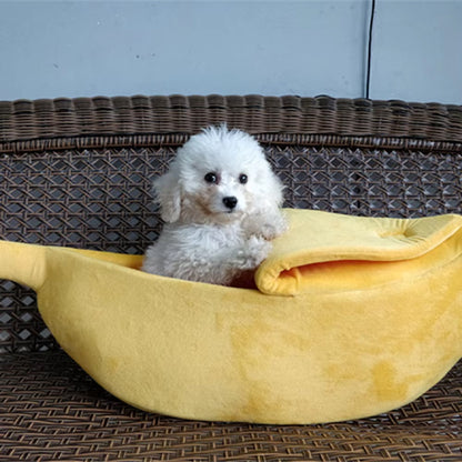 Panier banane pour chien BananaSplitz™ avec chien
