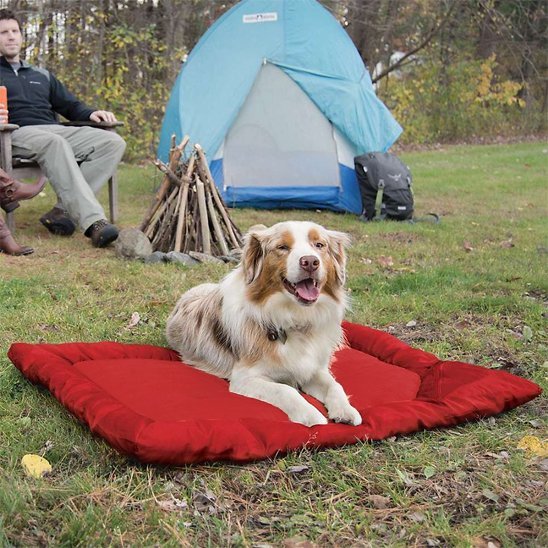 Lit de camp pour chien | DogCamp™️ - Bonheur de chien