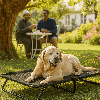 Lit pour chien | Surélevé Campingbed™️ - Bonheur de chien
