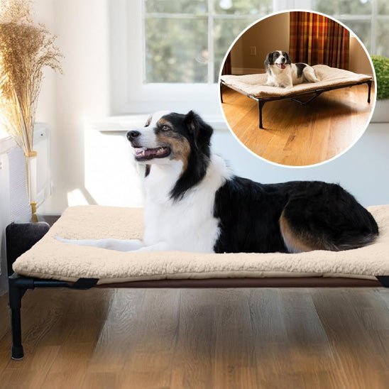 Lit pour chien surélevé | Summer™️ - Bonheur de chien