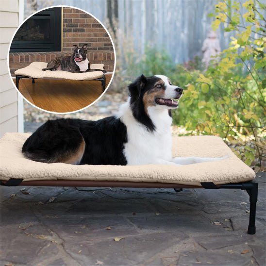 Lit pour chien surélevé | Summer™️ - Bonheur de chien
