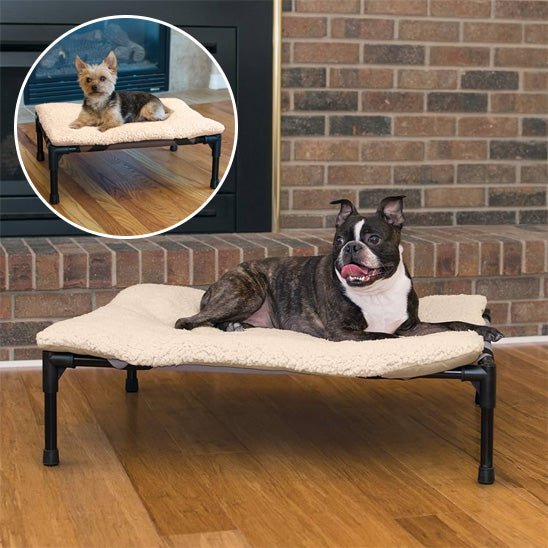 Lit pour chien surélevé | Summer™️ - Bonheur de chien