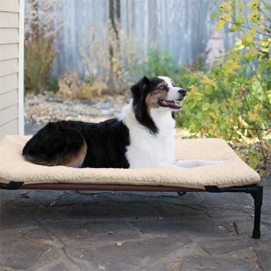 Lit pour chien surélevé | Summer™️ - Bonheur de chien