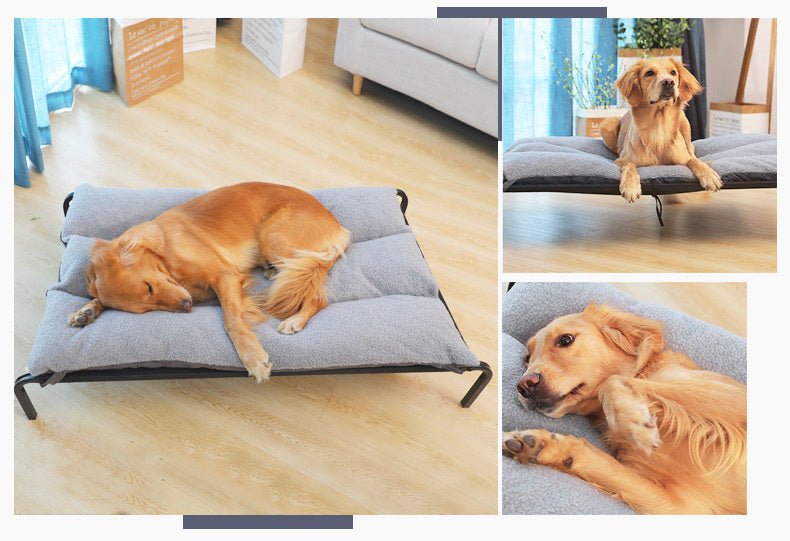 Lit surélevé chien | SumWint™️ - Bonheur de chien