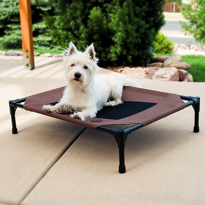 lit sureleve pour chien blanc