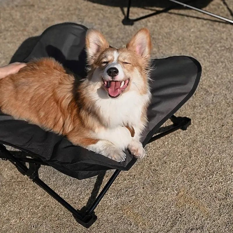 Lit surélevé pour chien | DogCamp™️ - Bonheur de chien