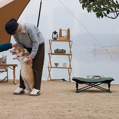 Lit surélevé pour chien | DogCamp™️ - Bonheur de chien