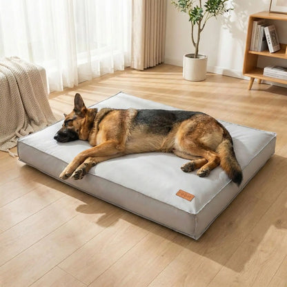 Chien allongé sur un lit orthopédique épais offrant confort et soutien pour un sommeil réparateur