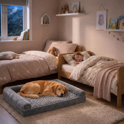 Matelas orthopédique pour chien 