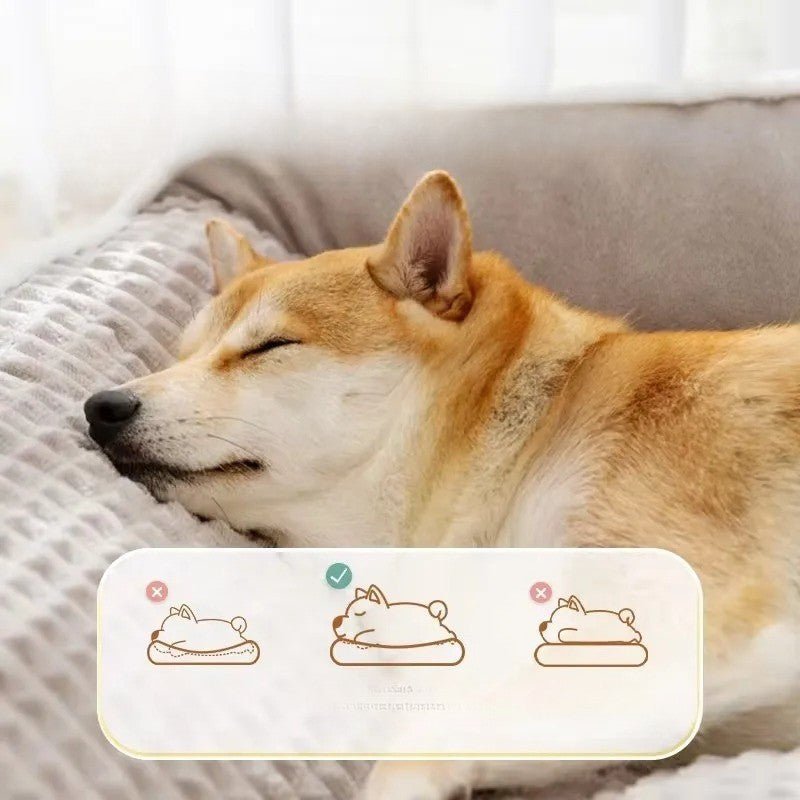 Matelas pour chien - Bigwinter™️ - Bonheur de chien