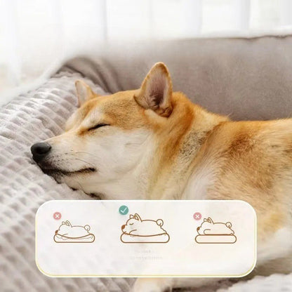 Matelas pour chien - Bigwinter™️ - Bonheur de chien