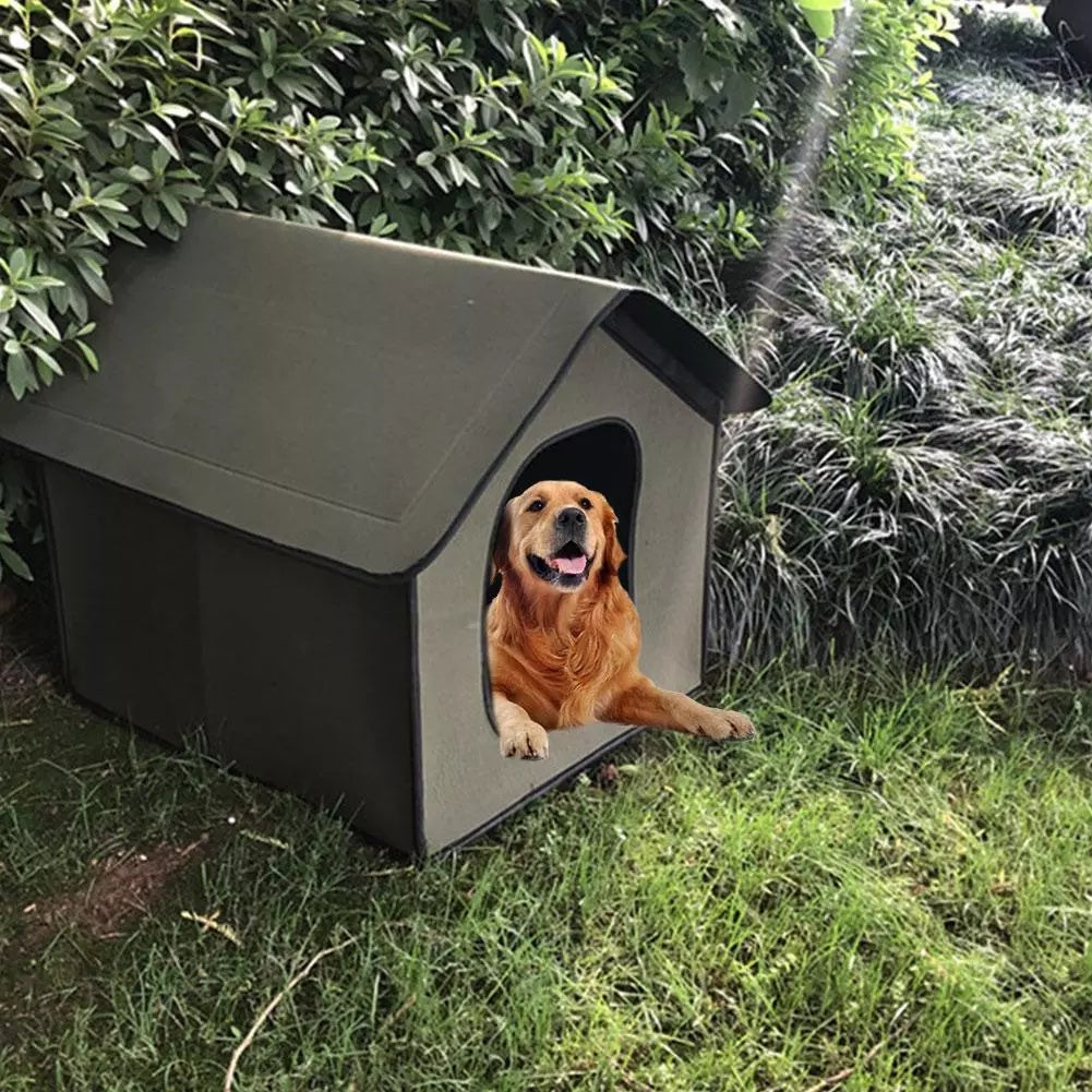 niche pour chien exterieure goldenr