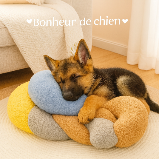 Oreiller Demi-Lune chiot berger allemand dort