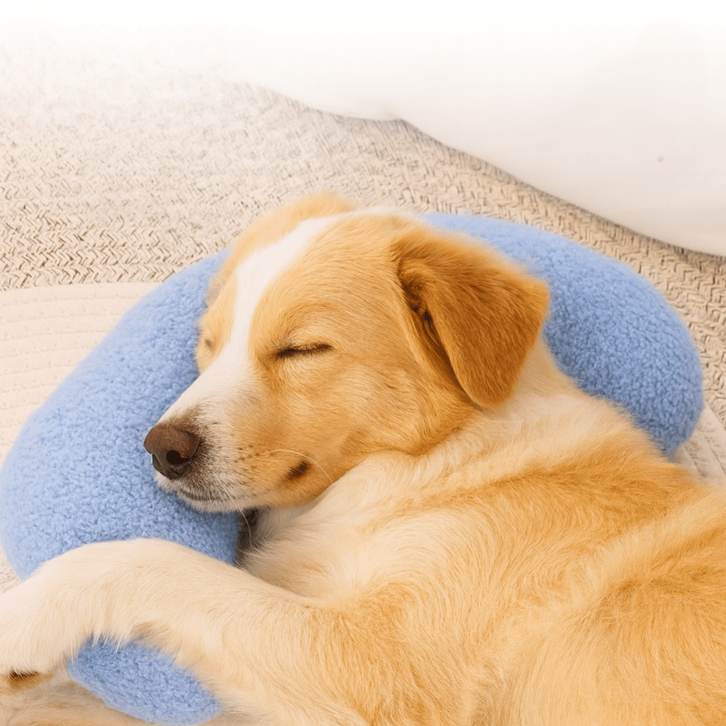 Oreiller Demi-Lune pour chien  chiot bleue