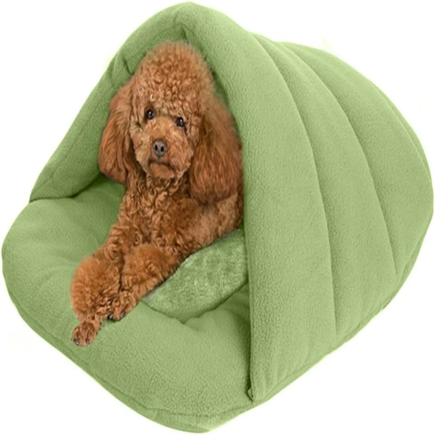 Chien couché dans un panier pour chien Chausson vert en forme de cocon