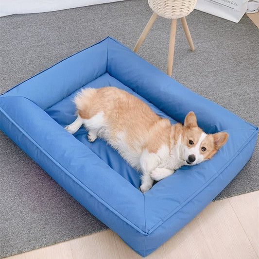 Chien couché dans un panier pour chien VacancesD’été bleu