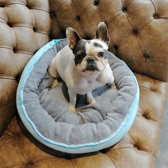 Panier pour chien gris et bleu vue de haut