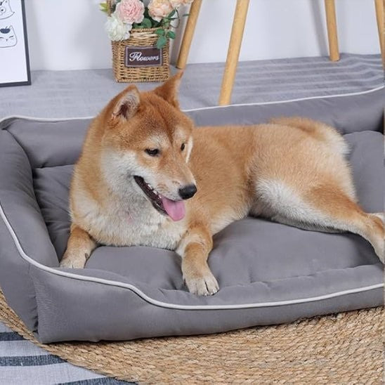 Panier pour chien gris installé dans un intérieur