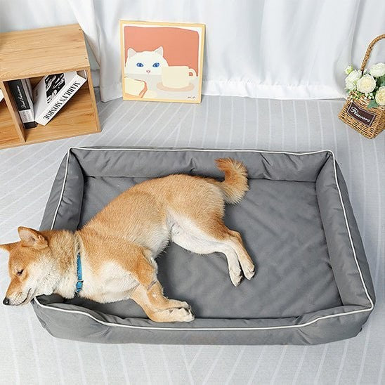 Vue de dessus du panier pour chien avec coussin