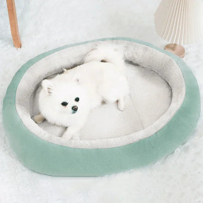 Petit chien blanc allongé dans le panier pour chien DouxCamée vert menthe