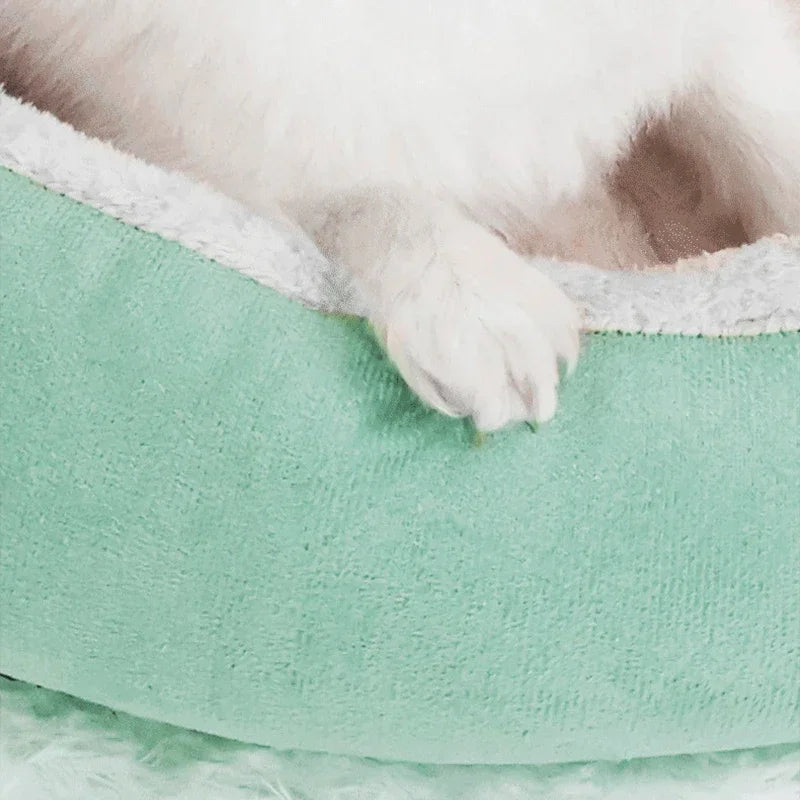 Main touchant la surface douce du panier pour chien DouxCamée