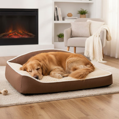 Panier pour chien confort premium golden dort près du foyer