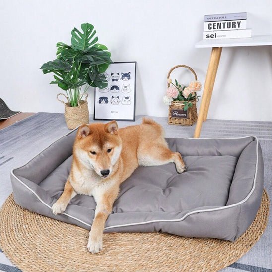 Panier pour chien à rebords confortables avec coussin moelleux