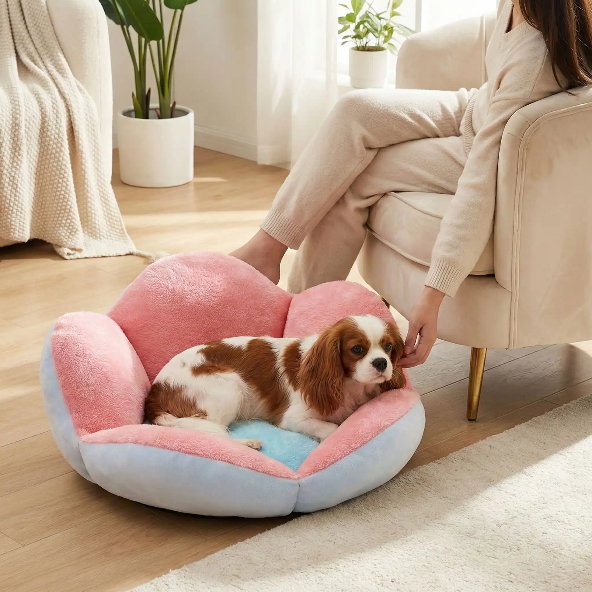 Panier pour chien Margot repose avec sa maitresse au salon