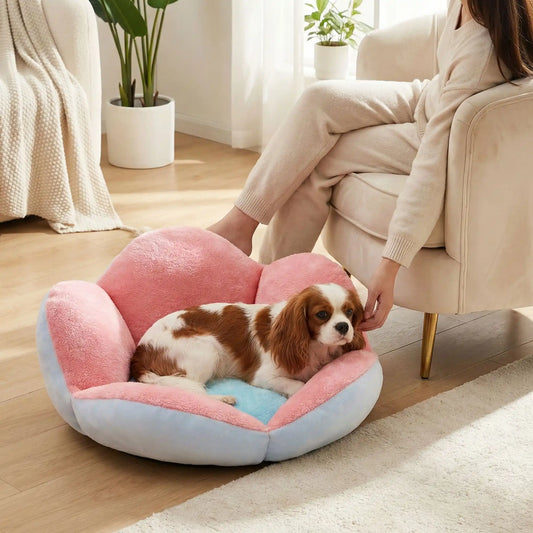 Panier pour chien Margot repose avec sa maitresse au salon