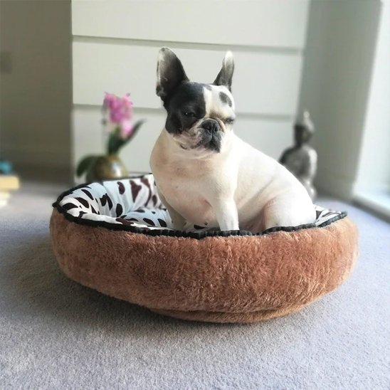 Panier pour chien marron dans salon