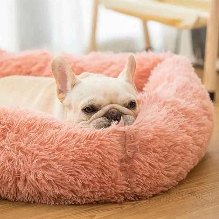 Bouledogue français reposant dans panier peluche rose