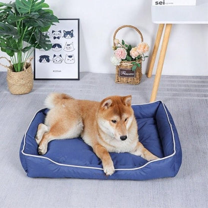 Panier pour chien bleu avec chien inu