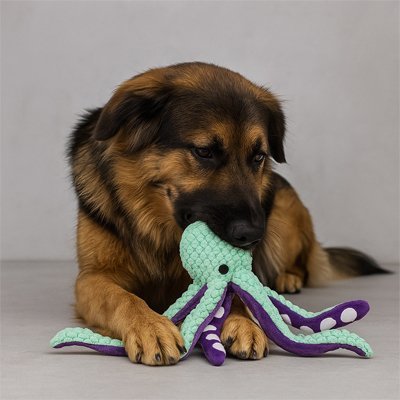 Peluche pour chien | Doudou Réconfort 