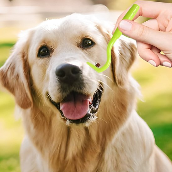 Pince à tique | PetProtect - Bonheur de chien