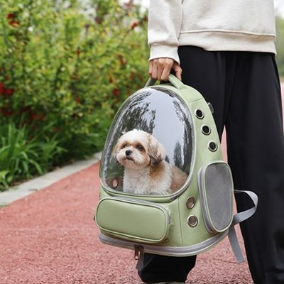 Sac transport Chien Vert