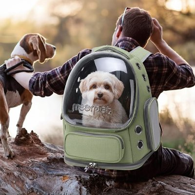 Sac transport Chien Vert