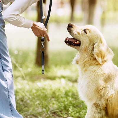 Sifflet à ultrason pour chien