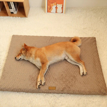 Tapis pour chien carpet case