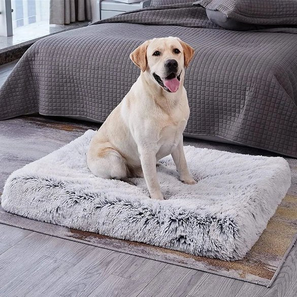 Tapis chien - Squaredoggy™️ - Bonheur de chien