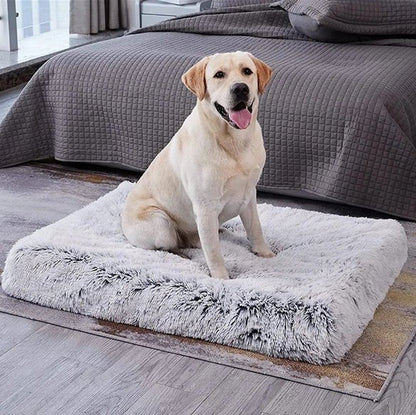 Tapis chien - Squaredoggy™️ - Bonheur de chien