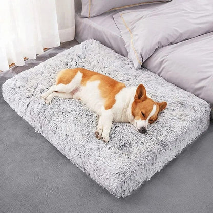 Tapis chien - Squaredoggy™️ - Bonheur de chien