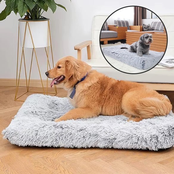Tapis chien - Squaredoggy™️ - Bonheur de chien