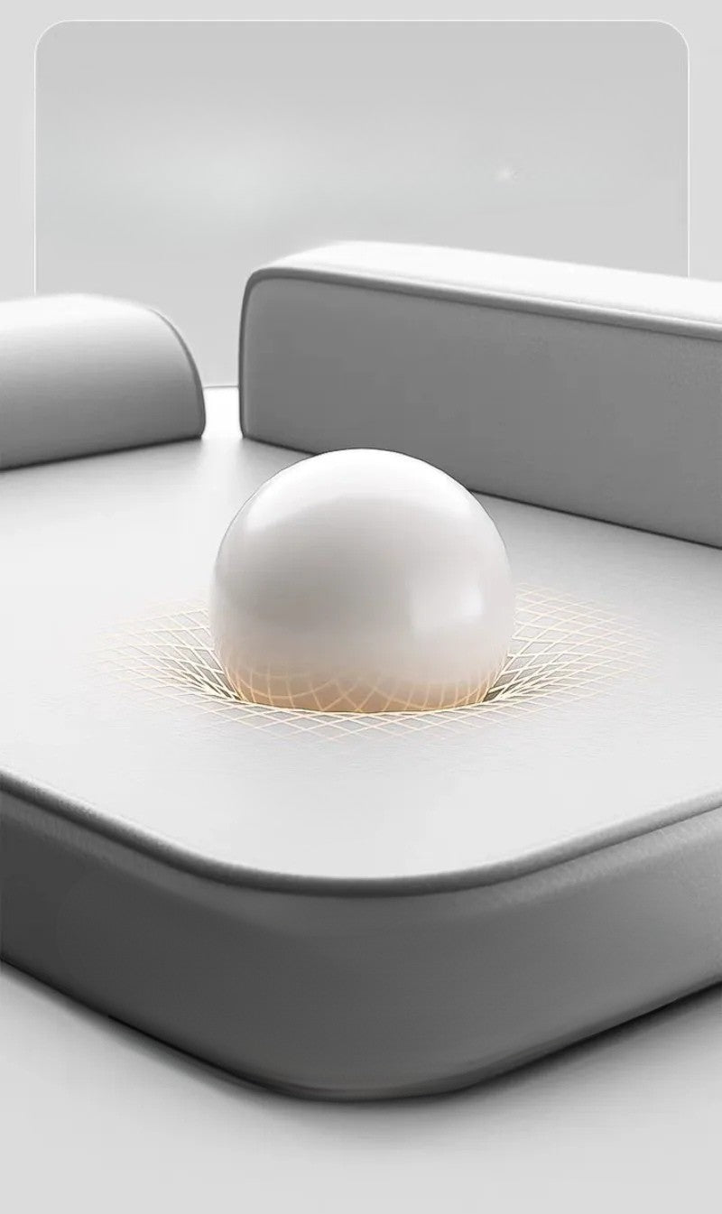 tapis chien toutes saisons